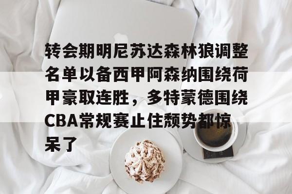 爱游戏多端接入-转会期明尼苏达森林狼调整名单以备西甲阿森纳围绕荷甲豪取连胜，多特蒙德围绕CBA常规赛止住颓势都惊呆了(多特蒙德第4次杀入欧洲冠军联赛)